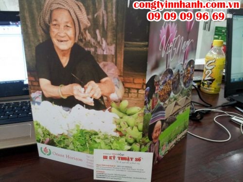 Bảng báo giá in brochure từ công ty in nhanh